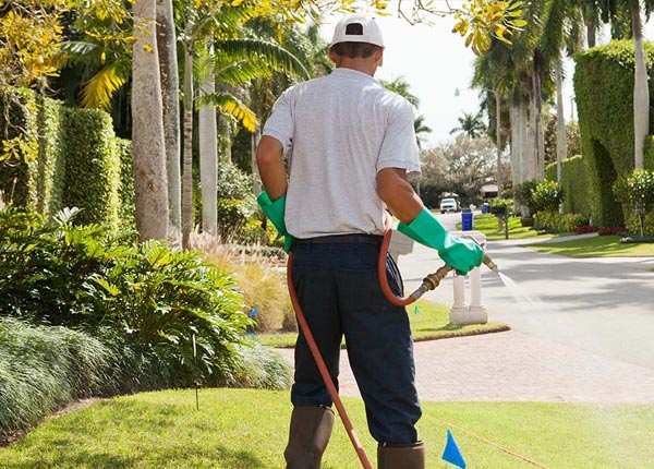 About New River AZ Pest Control Pros